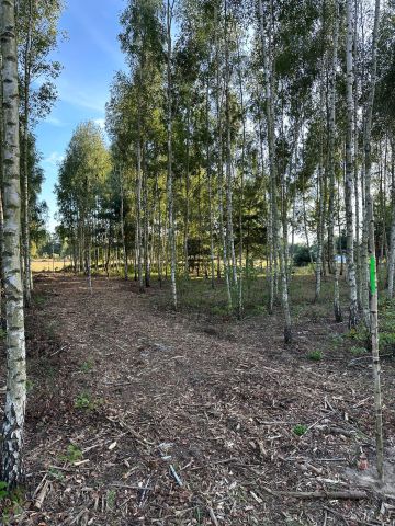 Działka budowlana Ciężków, ul. Akacjowa. Zdjęcie 3