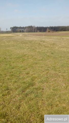 Działka rolna Lichawa. Zdjęcie 1