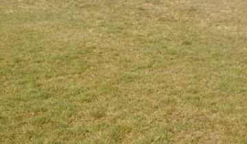 Działka rolna Lichawa