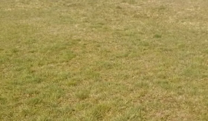 Działka rolna Lichawa