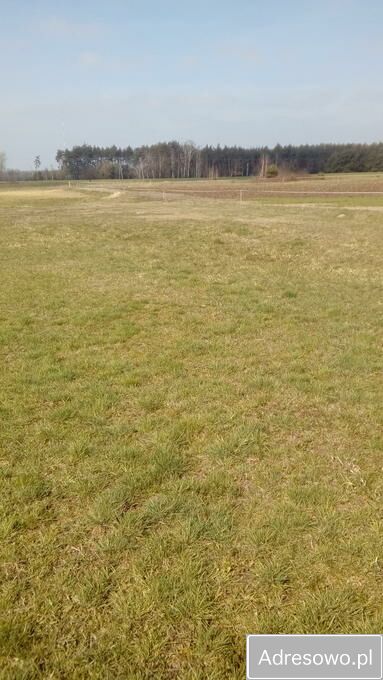 Działka rolna Lichawa