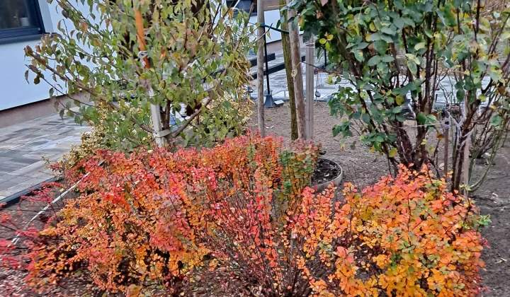 dom wolnostojący, 5 pokoi Aleksandrów Kujawski