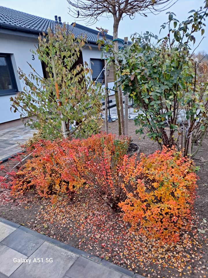 dom wolnostojący, 5 pokoi Aleksandrów Kujawski. Zdjęcie 1