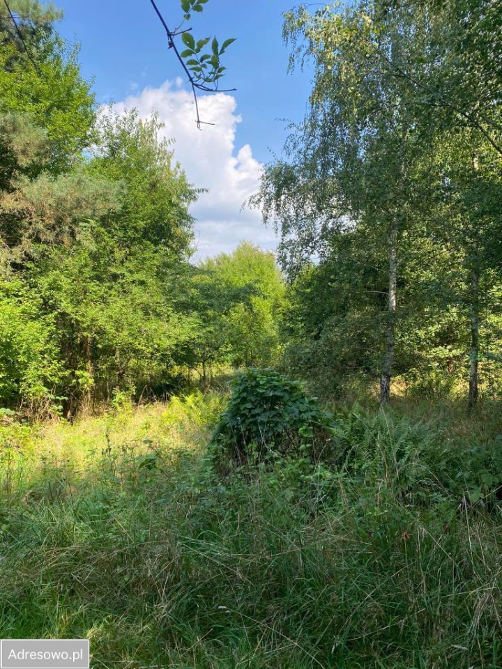 Działka budowlana Zielona Góra Stary Kisielin, ul. Rybacka