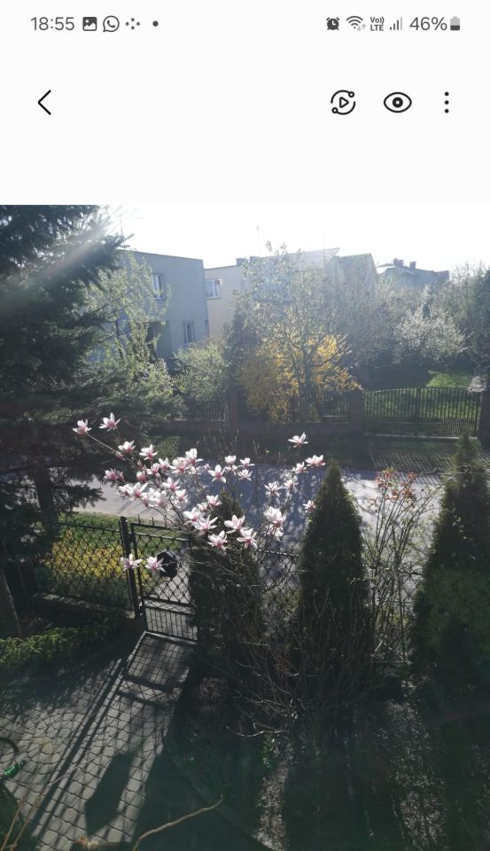 bliźniak, 3 pokoje Skierniewice Feliksów, ul. Szarotek. Zdjęcie 11