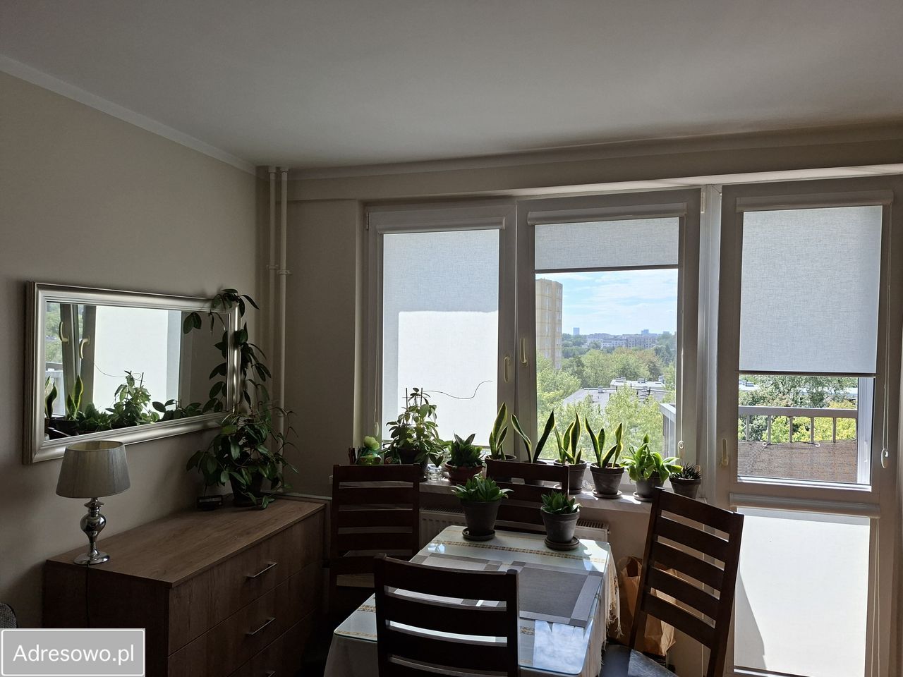 Mieszkanie 1-pokojowe Warszawa Grochów, ul. Rozłucka