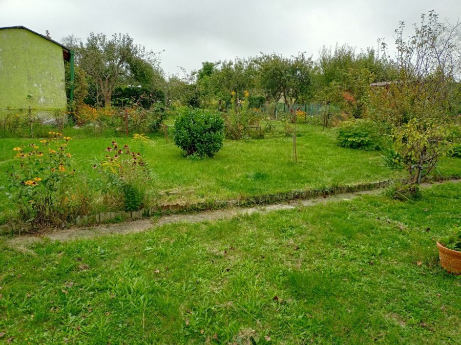 Działka rod Gdańsk Rębiechowo. Zdjęcie 4