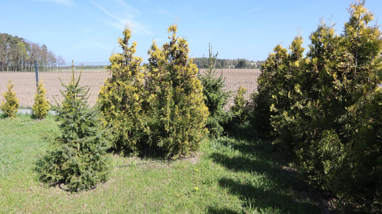 Działka budowlana Charbice Dolne, Charbice Dolne 31b. Zdjęcie 18