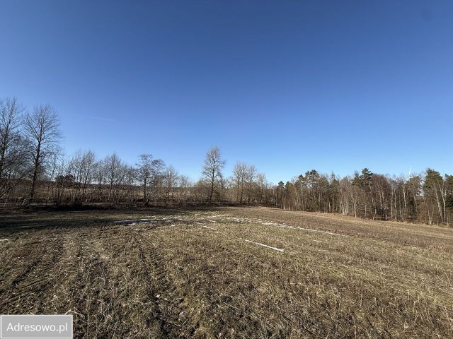 Działka siedliskowa Chrzanowo. Zdjęcie 1