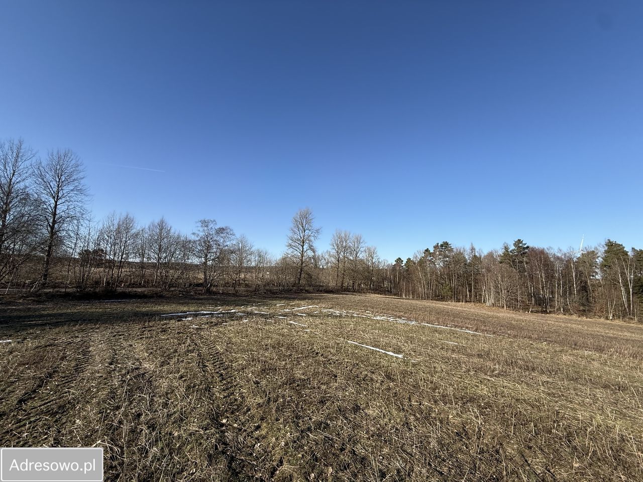 Działka siedliskowa Chrzanowo. Zdjęcie 1