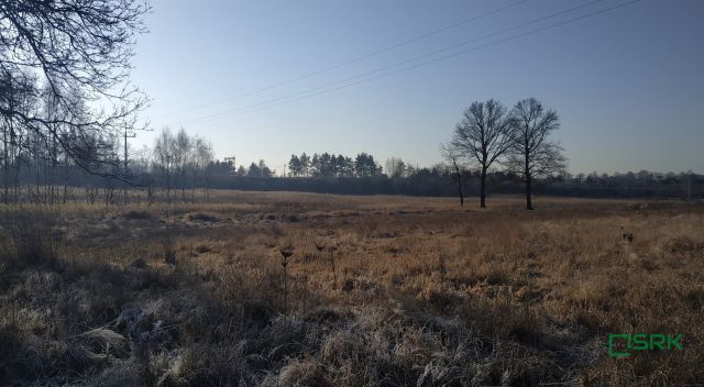 Działka inna Rudziczka, ul. Łąkowa. Zdjęcie 1