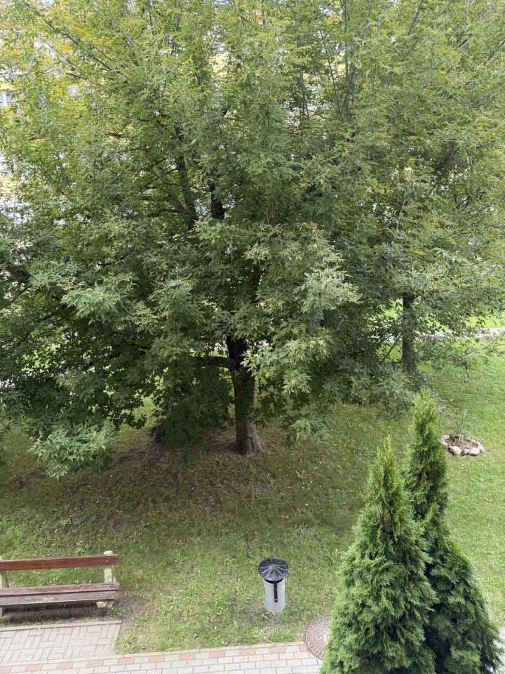 Mieszkanie 2-pokojowe Konin, ul. Zakole. Zdjęcie 9