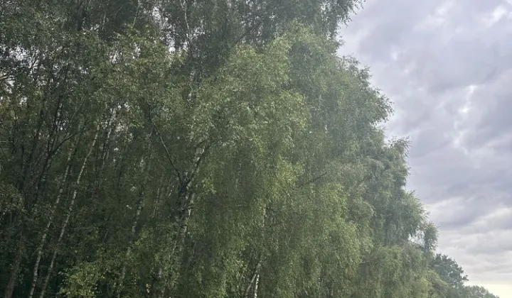 Działka rolna Bierzwnica