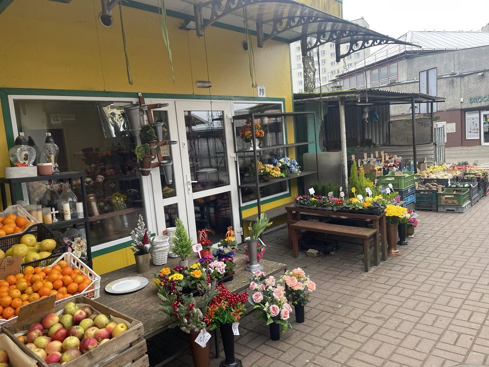 Lokal Toruń. Zdjęcie 2