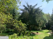 Działka rolno-budowlana Nowe Zawady. Zdjęcie 1