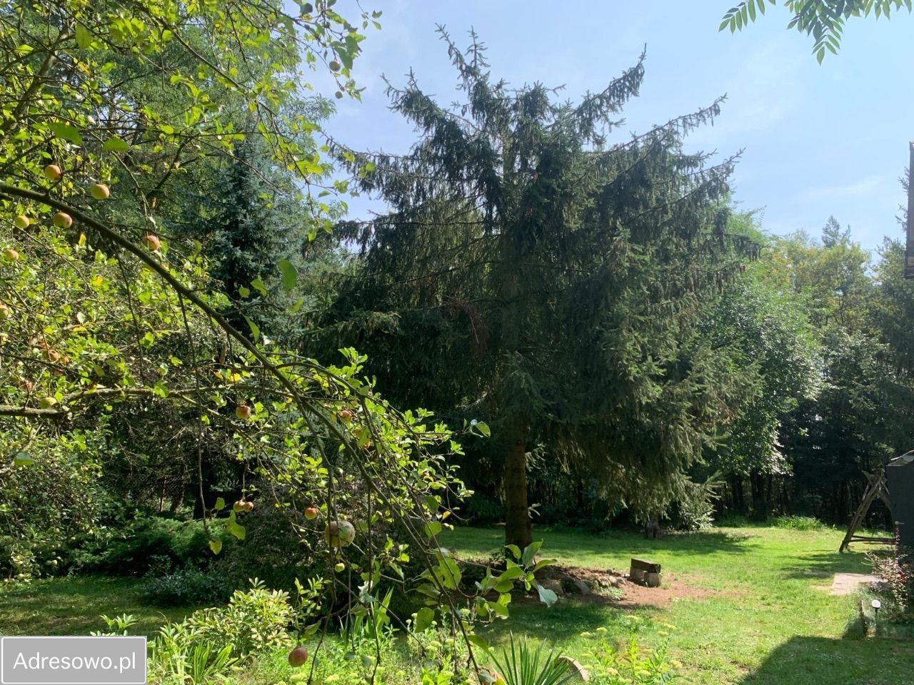 Działka rolno-budowlana Nowe Zawady. Zdjęcie 2