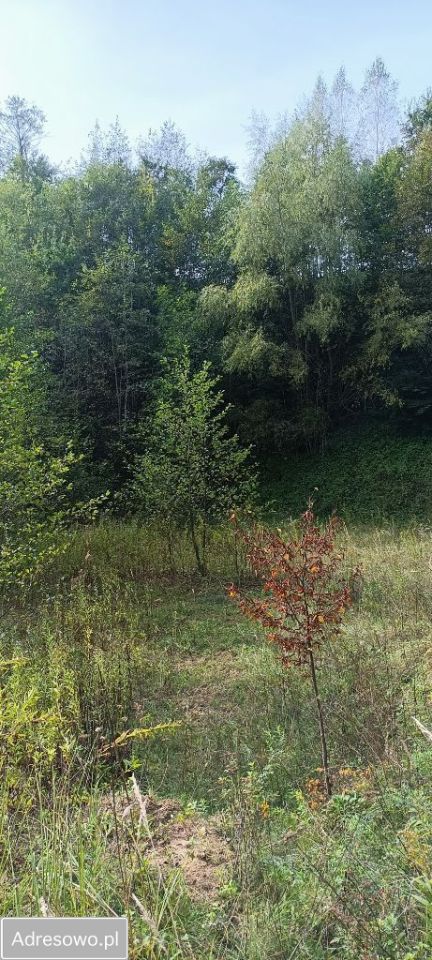 Działka Wyżne. Zdjęcie 3