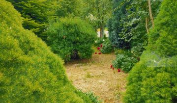 Działka rod Lublin Sławinek, al. Warszawska