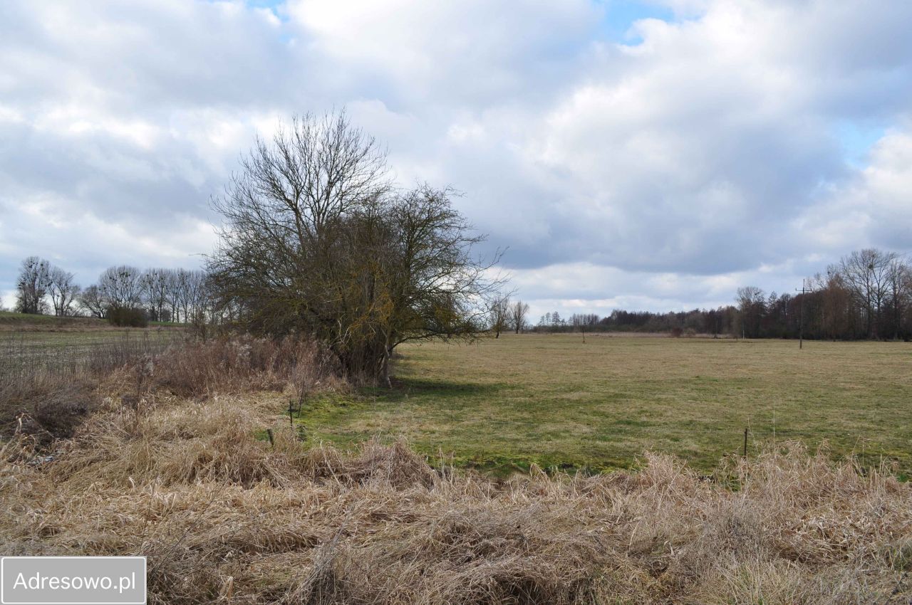 Działka siedliskowa Stare Chrapowo. Zdjęcie 9