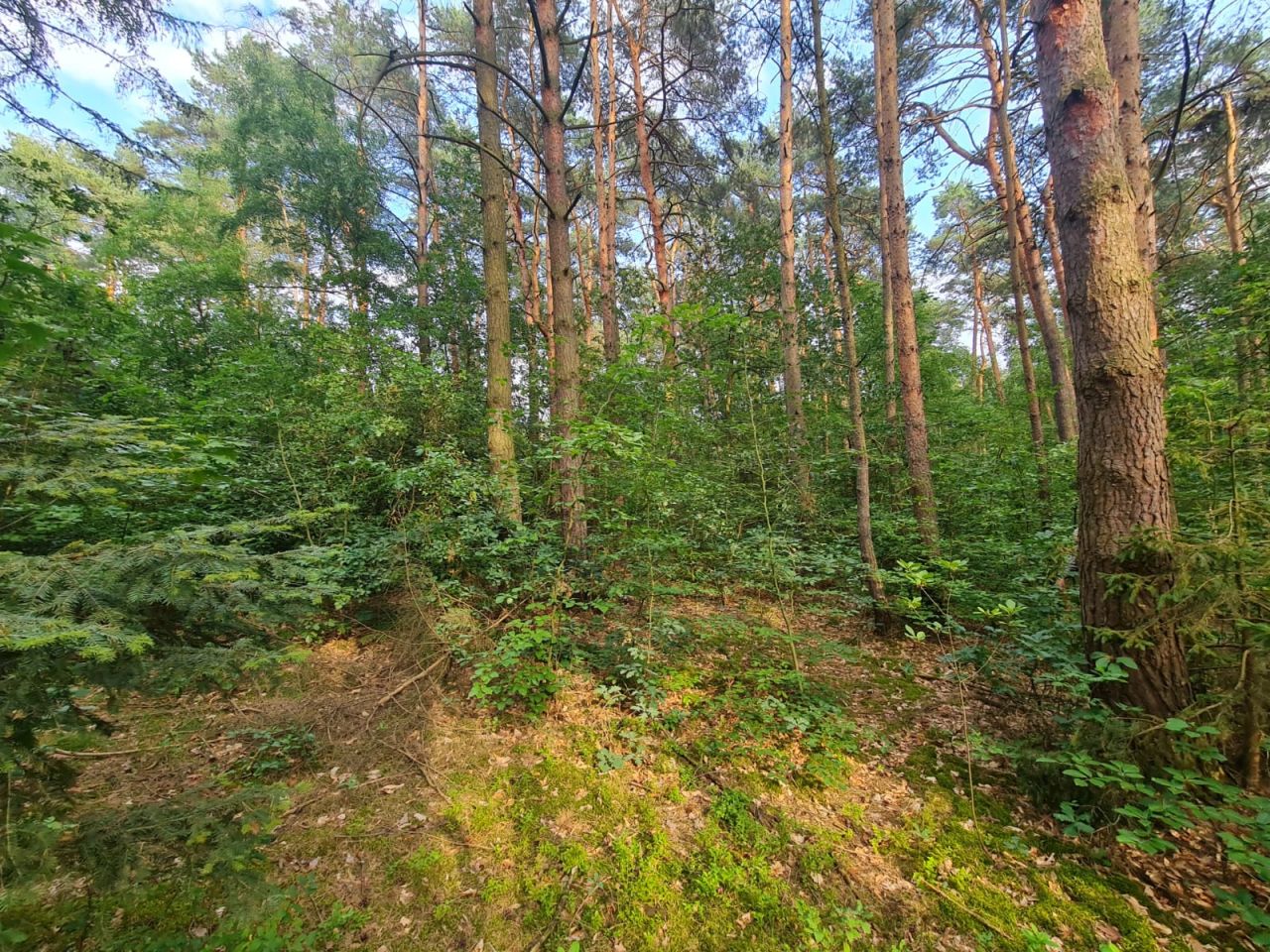 dom letniskowy, 3 pokoje Kębliny, ul. Letniskowa. Zdjęcie 8