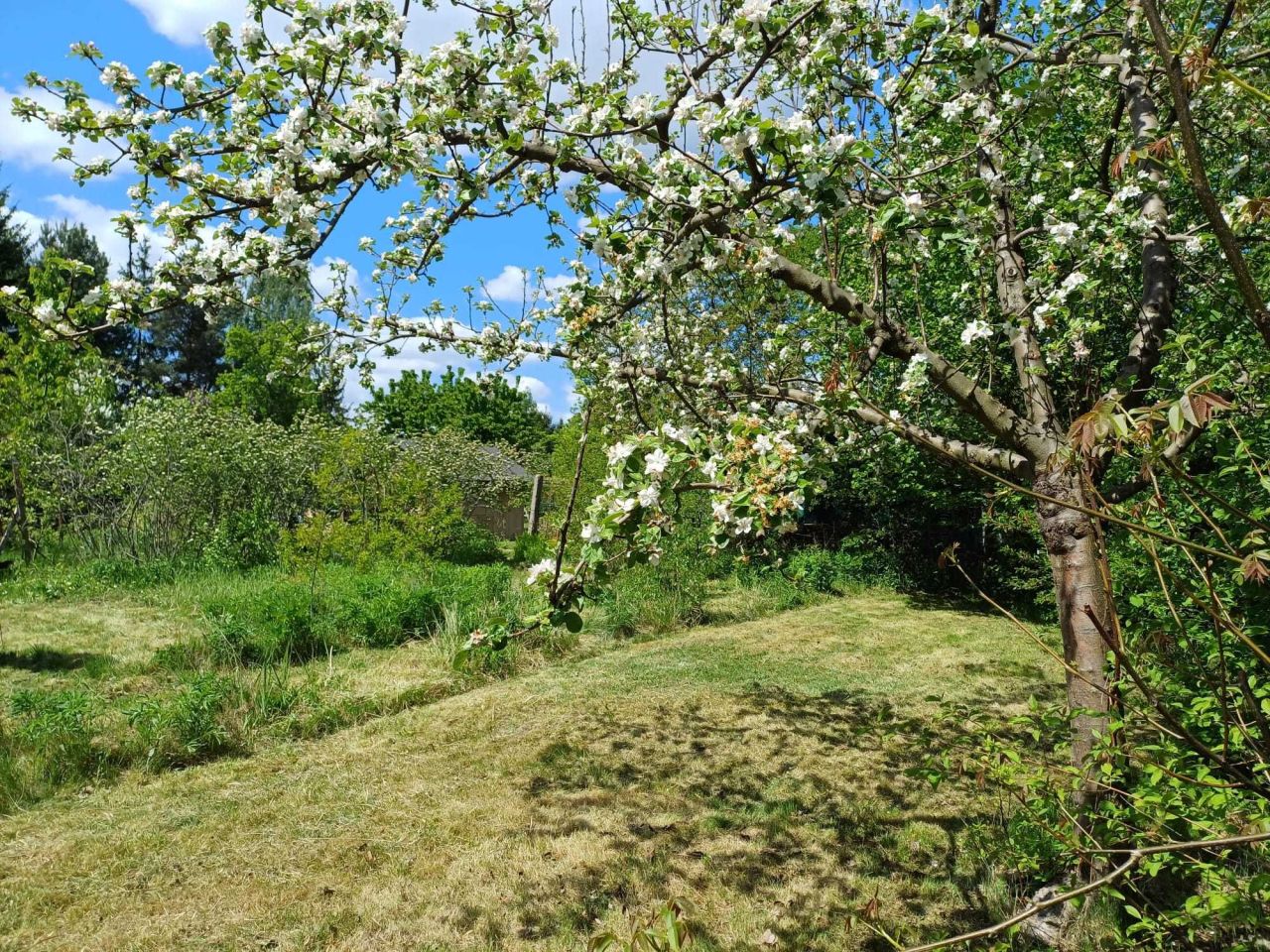 Działka rod Wrocław Krzyki, ul. Gazowa. Zdjęcie 7