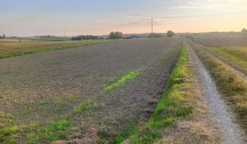 Działka rolna Harta Lipnik