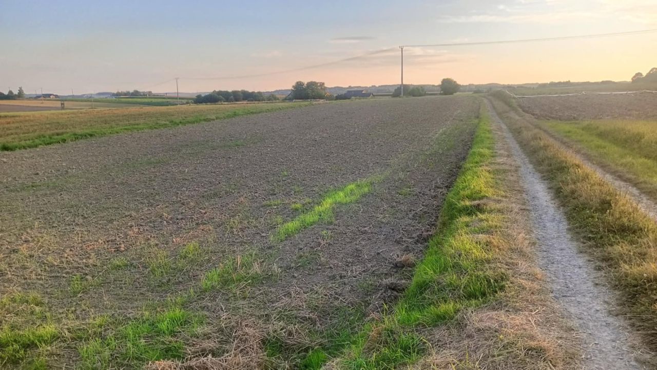 Działka rolna Harta Lipnik. Zdjęcie 2