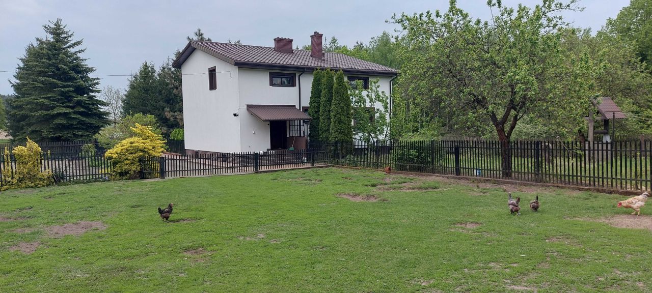 Działka siedliskowa Przerodki. Zdjęcie 5