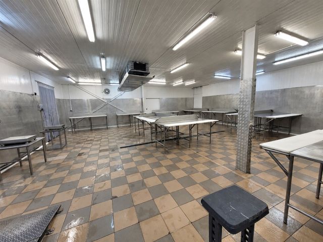 Hala/magazyn Sosnowiec Pogoń, ul. Plonów. Zdjęcie 6