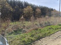 Działka rolno-budowlana Pogorzelec. Zdjęcie 2