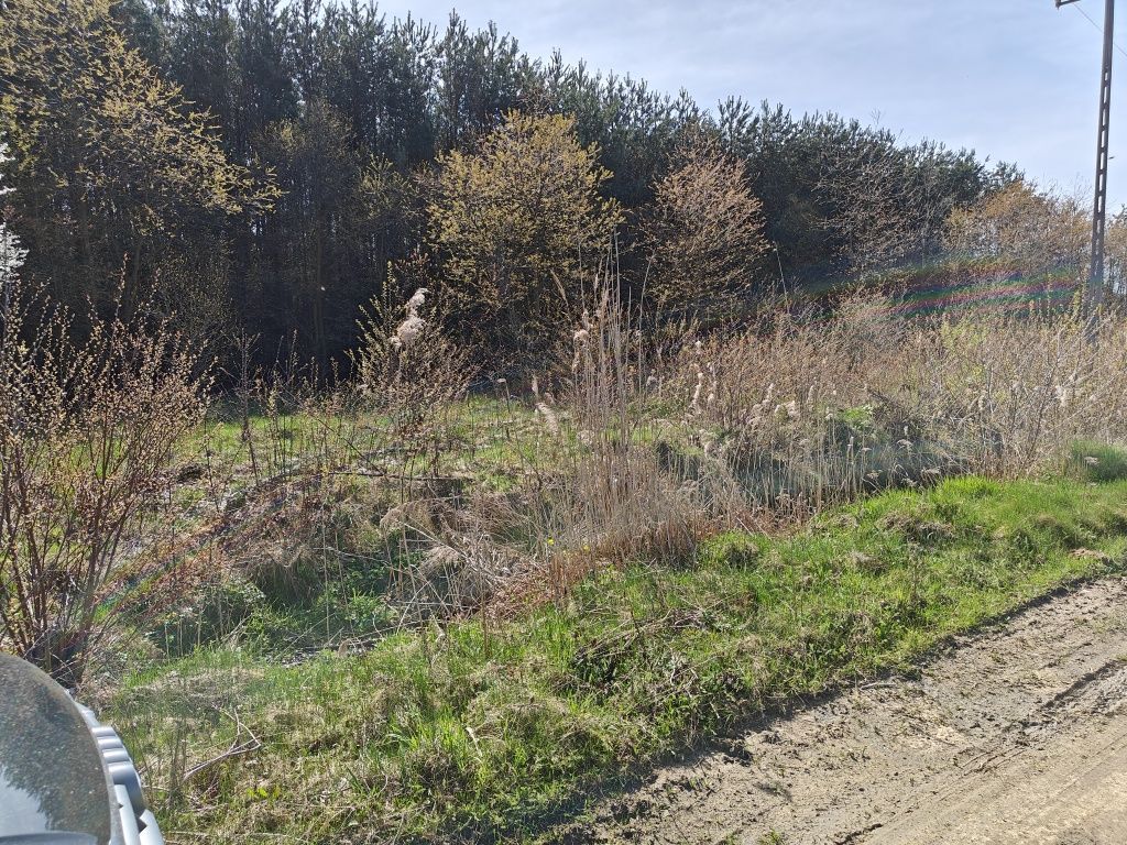 Działka rolno-budowlana Pogorzelec. Zdjęcie 3