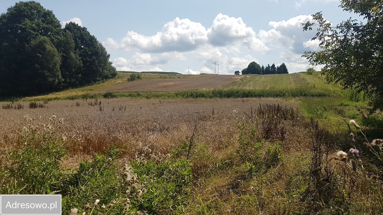 Działka budowlana Rzeplin. Zdjęcie 3