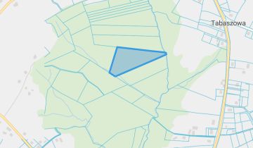 Działka leśna Rąbkowa, Rąbkowa