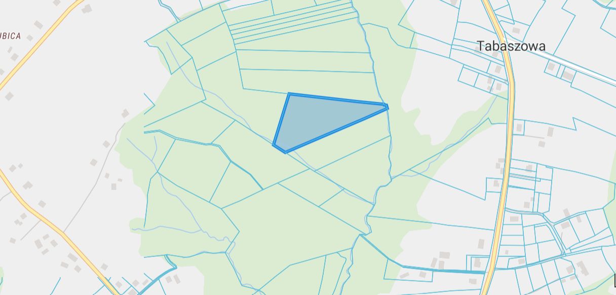 Działka leśna Rąbkowa, Rąbkowa