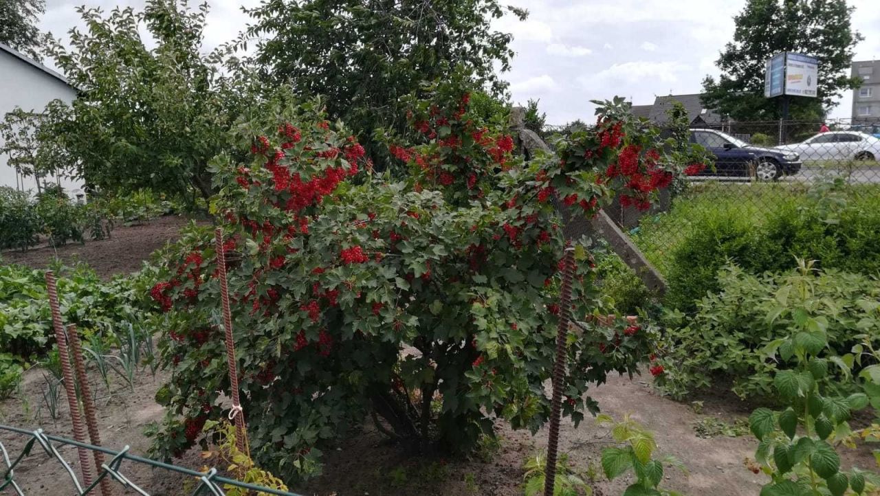 Działka rod Stargard. Zdjęcie 4