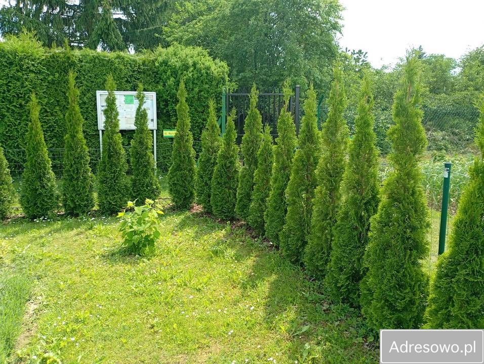 Działka rod Świdnik. Zdjęcie 4
