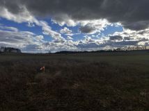 Działka rolno-budowlana Małkocin. Zdjęcie 1