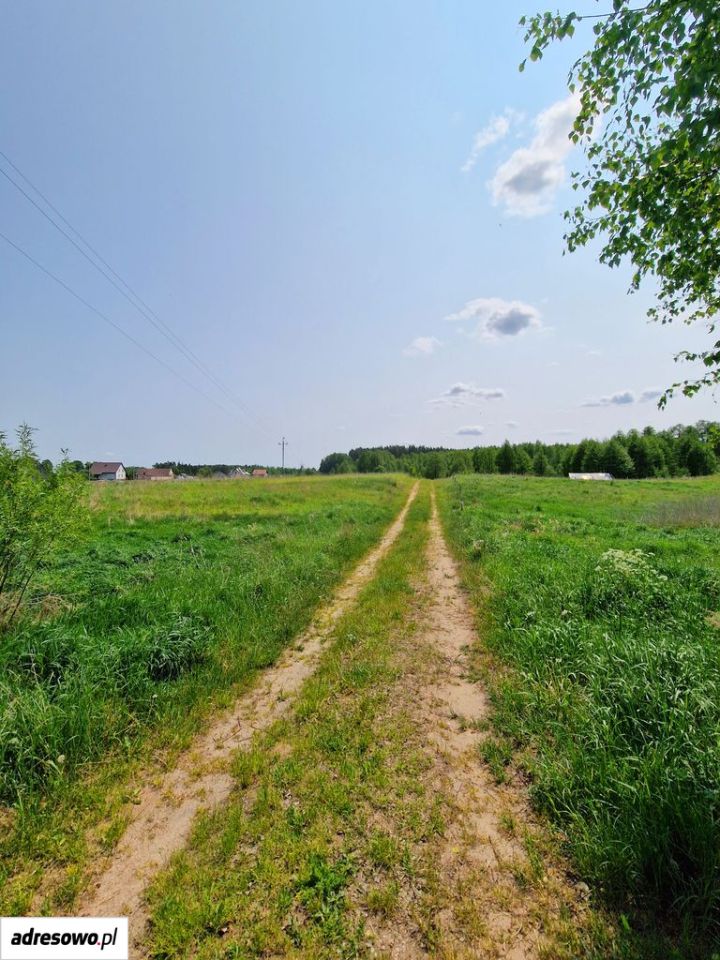 Działka budowlana Giętkie. Zdjęcie 6