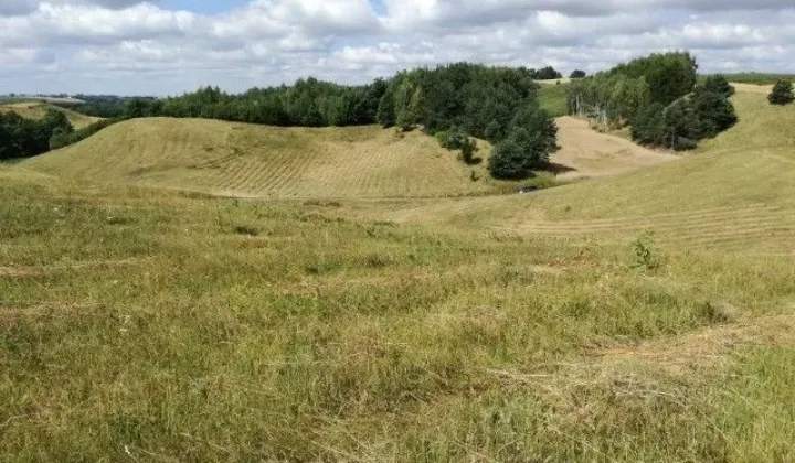 Działka rekreacyjna Zembrze