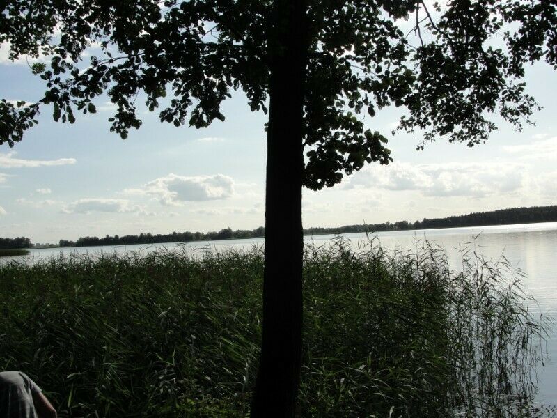 Działka rolno-budowlana Kruklanki Grądy Kruklaneckie. Zdjęcie 6