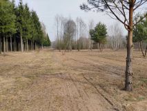 Działka budowlana Bartniki. Zdjęcie 2