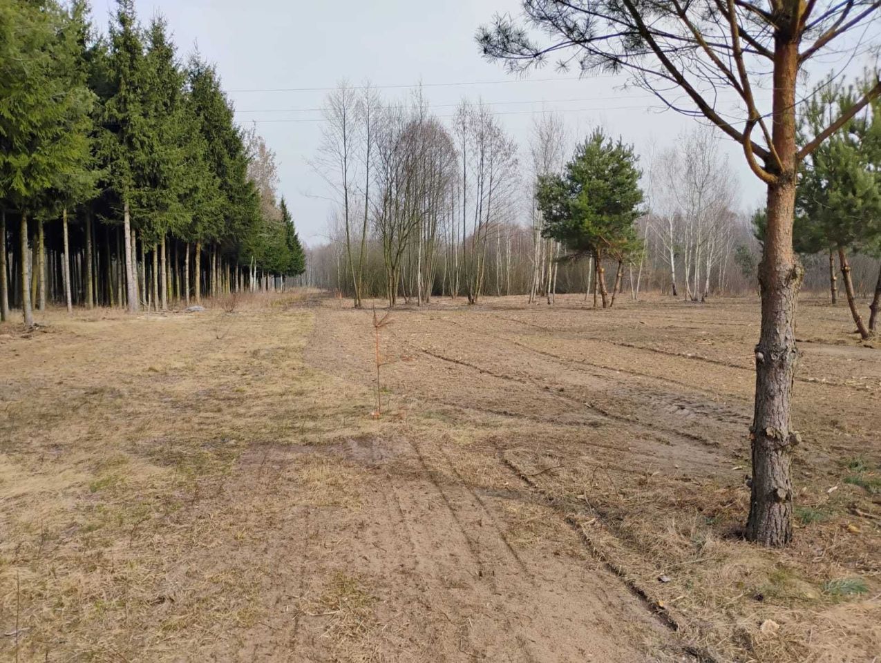 Działka budowlana Bartniki. Zdjęcie 3