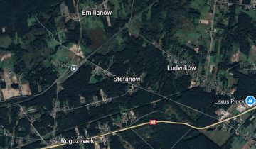 Lokal Stefanów