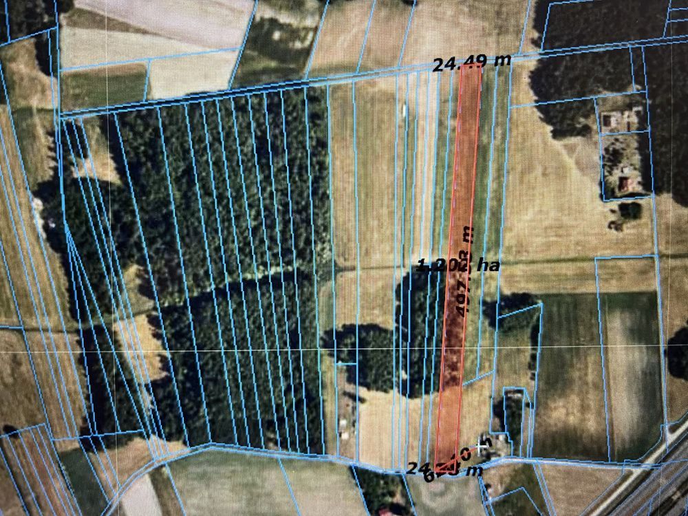 Działka rolna Sędziwuje. Zdjęcie 4