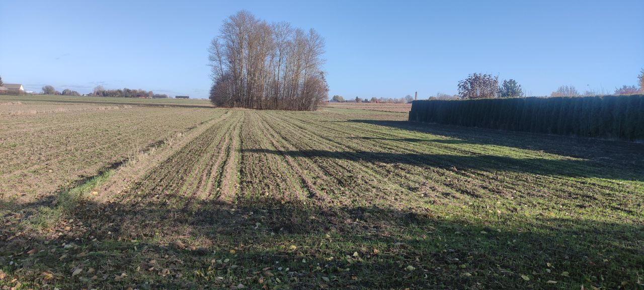 Działka budowlana Szopinek Stara Wieś. Zdjęcie 13