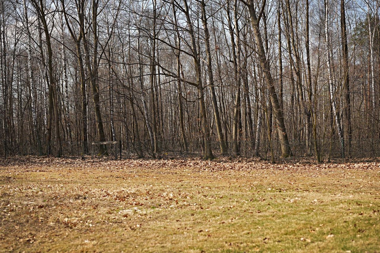 Działka budowlana Libiąż Koniec, ul. Marii Curie-Skłodowskiej. Zdjęcie 7