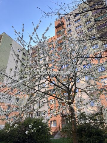 Mieszkanie 3-pokojowe Katowice Józefowiec, ul. Józefowska. Zdjęcie 15