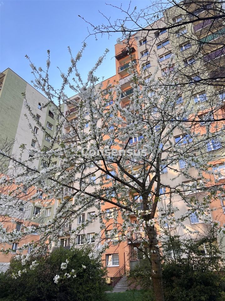 Mieszkanie 3-pokojowe Katowice Józefowiec, ul. Józefowska. Zdjęcie 15