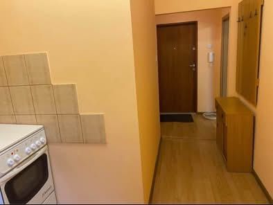 Mieszkanie 1-pokojowe Zabrze Centrum, ul. Bohaterów Warszawskich. Zdjęcie 5