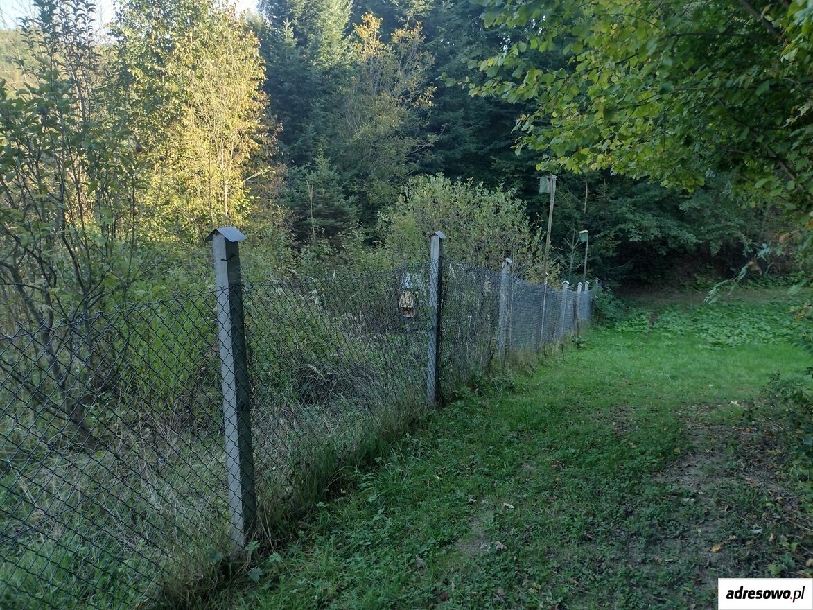 Działka budowlana Krzemienna. Zdjęcie 3